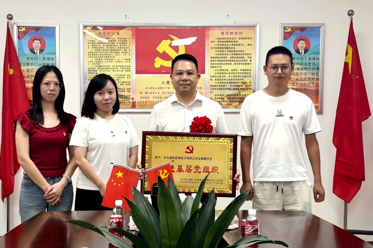 喜報！炬神電子黨支部獲評自貿區郴州片區、高新區先進基層黨組織